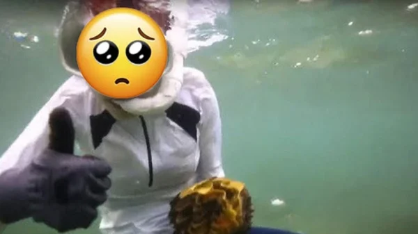 Khoảnh khắc lặn biển khiến 1 mỹ nhân suýt tù tội, "đi tong" sạch sự nghiệp! kenhtingame com thumb khoanh khac lan bien khien 1 m nhan suyt tu toi quot di tong quot sach su nghiep 348b1774917081981 940w