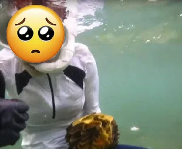 Khoảnh khắc lặn biển khiến 1 mỹ nhân suýt tù tội, "đi tong" sạch sự nghiệp! kenhtingame com thumb khoanh khac lan bien khien 1 m nhan suyt tu toi quot di tong quot sach su nghiep 348b1774917081981 940w