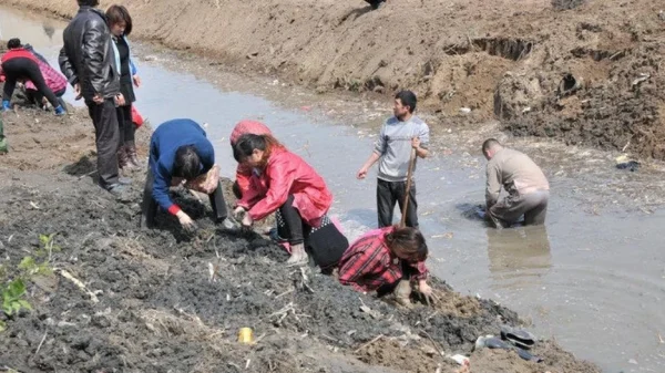 Người phụ nữ SN 1993 lĩnh án vì kinh doanh online có doanh thu 45 tỷ đồng nhưng không đóng thuế kenhtingame com thumb nguoi phu nu sn 1993 linh an vi kinh doanh online co doanh thu 45 ty dong nhung khong dong thue 747a1774021969165 940w