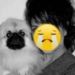 Nữ diễn viên 2 năm trước ngã chấn thương sọ não, nay đột ngột qua đời vì biến chứng viêm phổi kenhtingame com thumb nu dien vien 2 nam truoc nga chan thuong so nao nay dot ngot qua doi vi bien chung viem phoi 58d41774941612460 940w