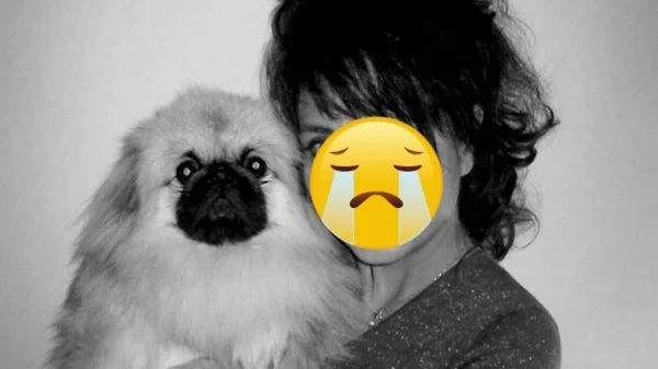 Nữ diễn viên 2 năm trước ngã chấn thương sọ não, nay đột ngột qua đời vì biến chứng viêm phổi kenhtingame com thumb nu dien vien 2 nam truoc nga chan thuong so nao nay dot ngot qua doi vi bien chung viem phoi 58d41774941612460 940w