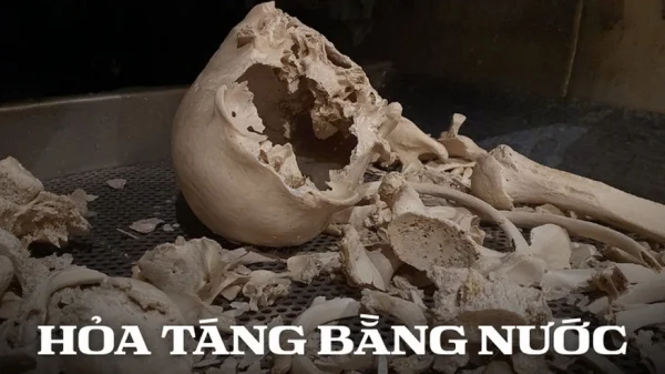 Phân hủy thi thể thành... nước rồi đổ xuống cống: Phương pháp mai táng thân thiện môi trường hay tận cùng của sự đáng sợ? kenhtingame com thumb phan huy thi the thanh nuoc roi do xuong cong phuong phap mai tang than thien moi truong hay tan cung cua su dang so 30de1773633772280 940w