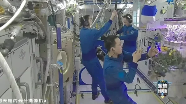 Phi hành đoàn Thần Châu-21 lần đầu thu hoạch “cà chua vũ trụ” kenhtingame com thumb phi hanh doan than chau 21 lan dau thu hoach ca chua vu tru dacd1773800366591 940w