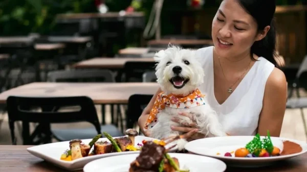 SỐC: Nhà hàng đập bỏ 600 bộ bát đĩa, đóng cửa khử trùng vì khách cho thú cưng lên bàn ăn kenhtingame com thumb soc nha hang dap bo 600 bo bat dia dong cua khu trung vi khach cho thu cung len ban an e0381773909813509 940w