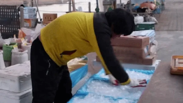 Sự hết thời của diễn viên kiêu ngạo bậc nhất: Từng được trăm người vây quanh mỗi khi ra đường nay bán cá ở chợ chẳng ai ngó ngàng kenhtingame com thumb su het thoi cua dien vien kieu ngao bac nhat tung duoc tram nguoi vay quanh moi khi ra duong nay ban ca o cho chang ai ngo ngang b3b6 940w