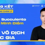 VĐV Succulento Đăng Quang Giải Vô Địch Quốc Gia Đấu Trường Chân Lý Việt Nam Mùa 16 kenhtingame com thumb vdv succulento dang quang giai vo dich quoc gia dau truong chan ly viet nam mua 16 52481774343454216 940w