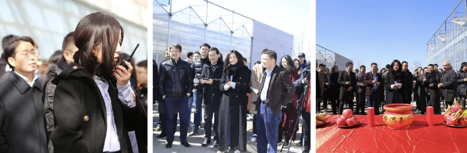 Tiếc cho Triệu Vy