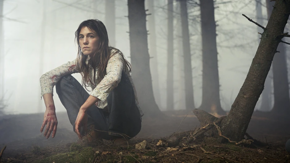 Top 15 bộ phim mà diễn viên chấp nhận hy sinh vì thành công