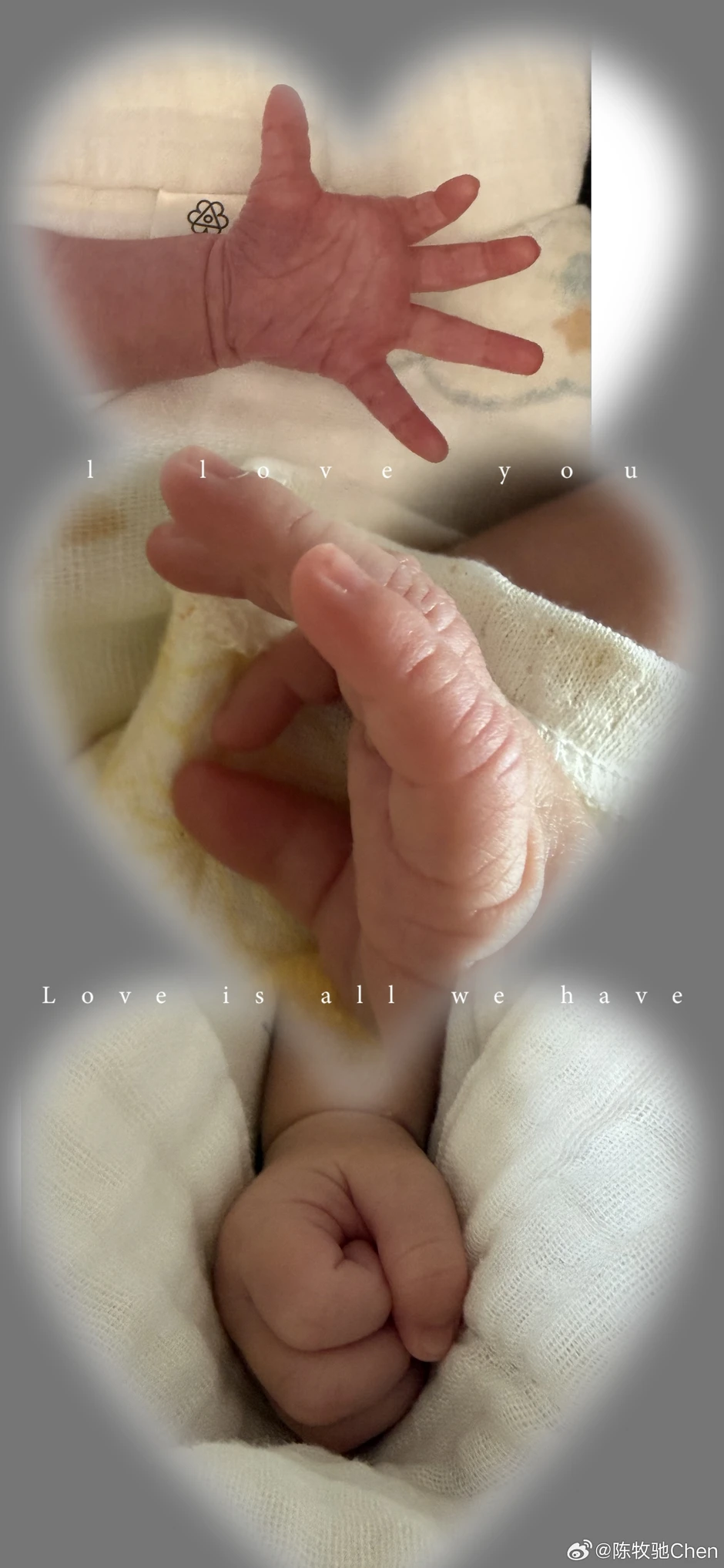 Trai đẹp gen Z đột ngột kết hôn có con với nữ đại gia 1 đời chồng sau 900 ngày biến mất bí ẩn khỏi showbiz Trai đẹp gen Z đột ngột kết hôn có con với nữ đại gia 1 đời chồng sau 900 ngày biến mất bí ẩn khỏi showbiz