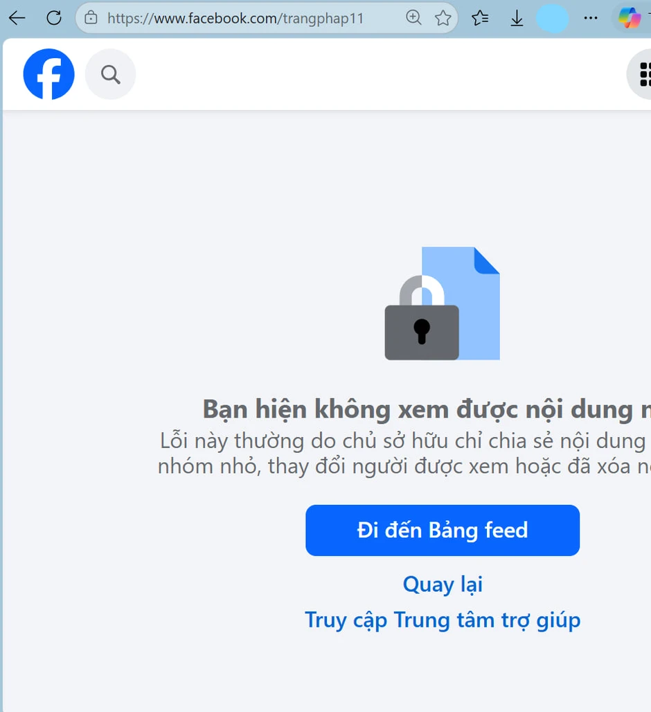 Trang Pháp "biến mất", khoá toàn bộ trang MXH