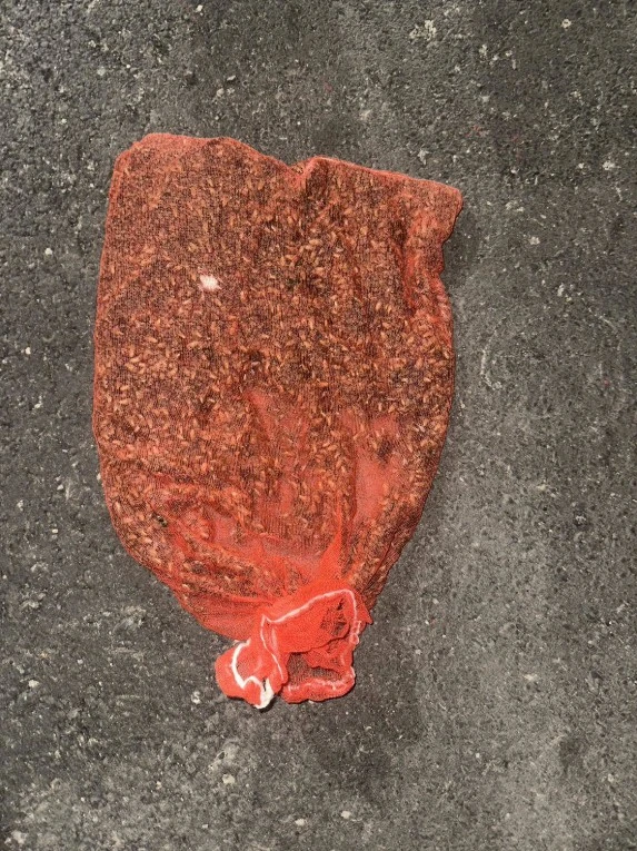 Treo mũ bảo hiểm qua đêm, người phụ nữ "lạnh sống lưng" khi phát hiện thứ đang động đậy bên trong