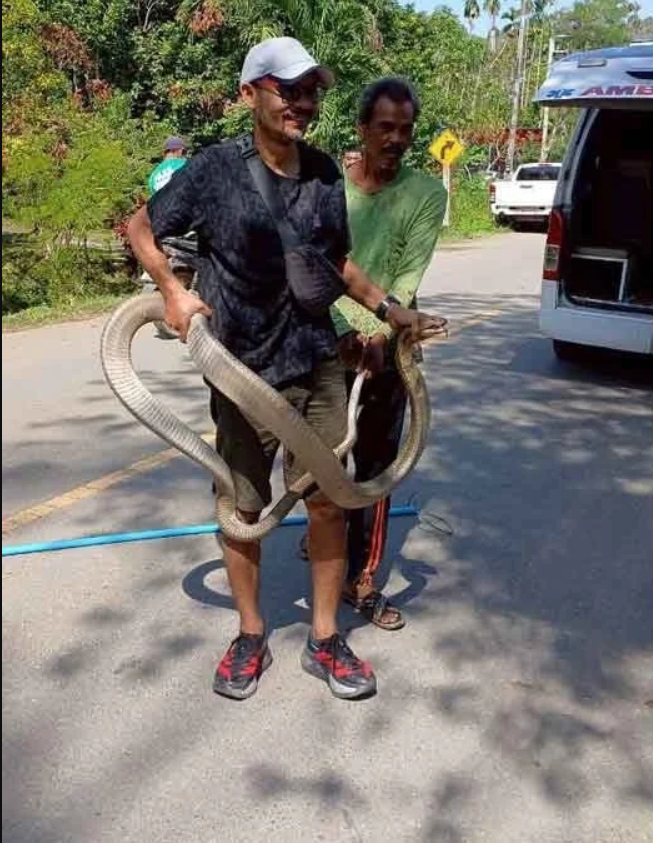 Nghe tiếng động lạ dưới gầm giường, chủ nhà