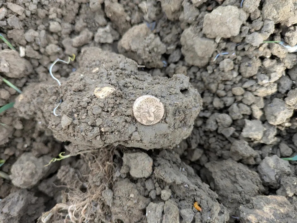 Dò kim loại, người đàn ông phát hiện kho báu quý giá trên cánh đồng- Ảnh 1.