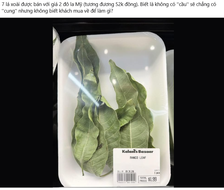 7 lá xoài giá 52.000 đồng ở Mỹ: Thứ bỏ đi ở Việt Nam lại thành hàng bán, người ta mua về làm gì?- Ảnh 2. 7 lá xoài giá 52.000 đồng ở Mỹ: Thứ bỏ đi ở Việt Nam lại thành hàng bán, người ta mua về làm gì?- Ảnh 2.