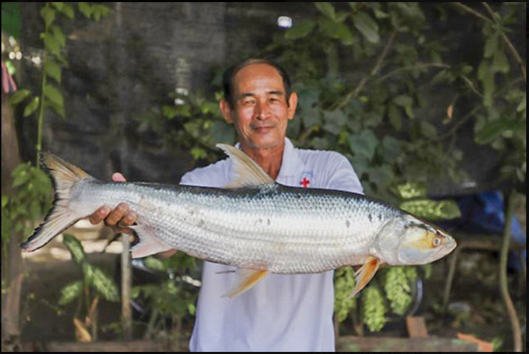 Lần theo dấu vết của cá thể lạ, láng giềng Việt Nam bất ngờ phát hiện loài vật
