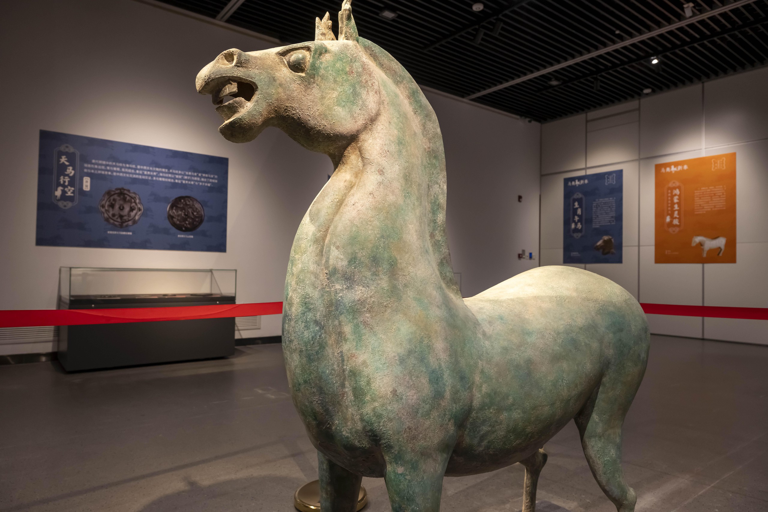 Chuyện không ai biết về con ngựa- Ảnh 2.