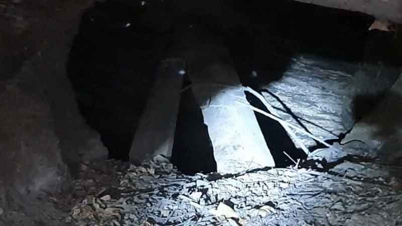 Gia súc liên tục mất tích, dân làng hoang mang kéo đi tìm con lươn 800 năm tuổi- Ảnh 2. Gia súc liên tục mất tích, dân làng hoang mang kéo đi tìm con lươn 800 năm tuổi- Ảnh 2.