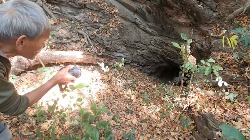 Gia súc liên tục mất tích, dân làng hoang mang kéo đi tìm con lươn 800 năm tuổi- Ảnh 1. Gia súc liên tục mất tích, dân làng hoang mang kéo đi tìm con lươn 800 năm tuổi- Ảnh 1.