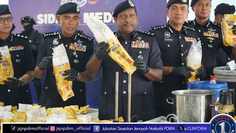 Thu giữ 18.000kg ma túy trị giá 9.534 tỷ đồng trong biệt thự ba tầng- Ảnh 1.