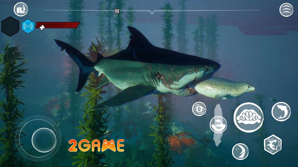 Maneater – Trở thành kẻ săn mồi đáng sợ nhất đại dương maneater 4