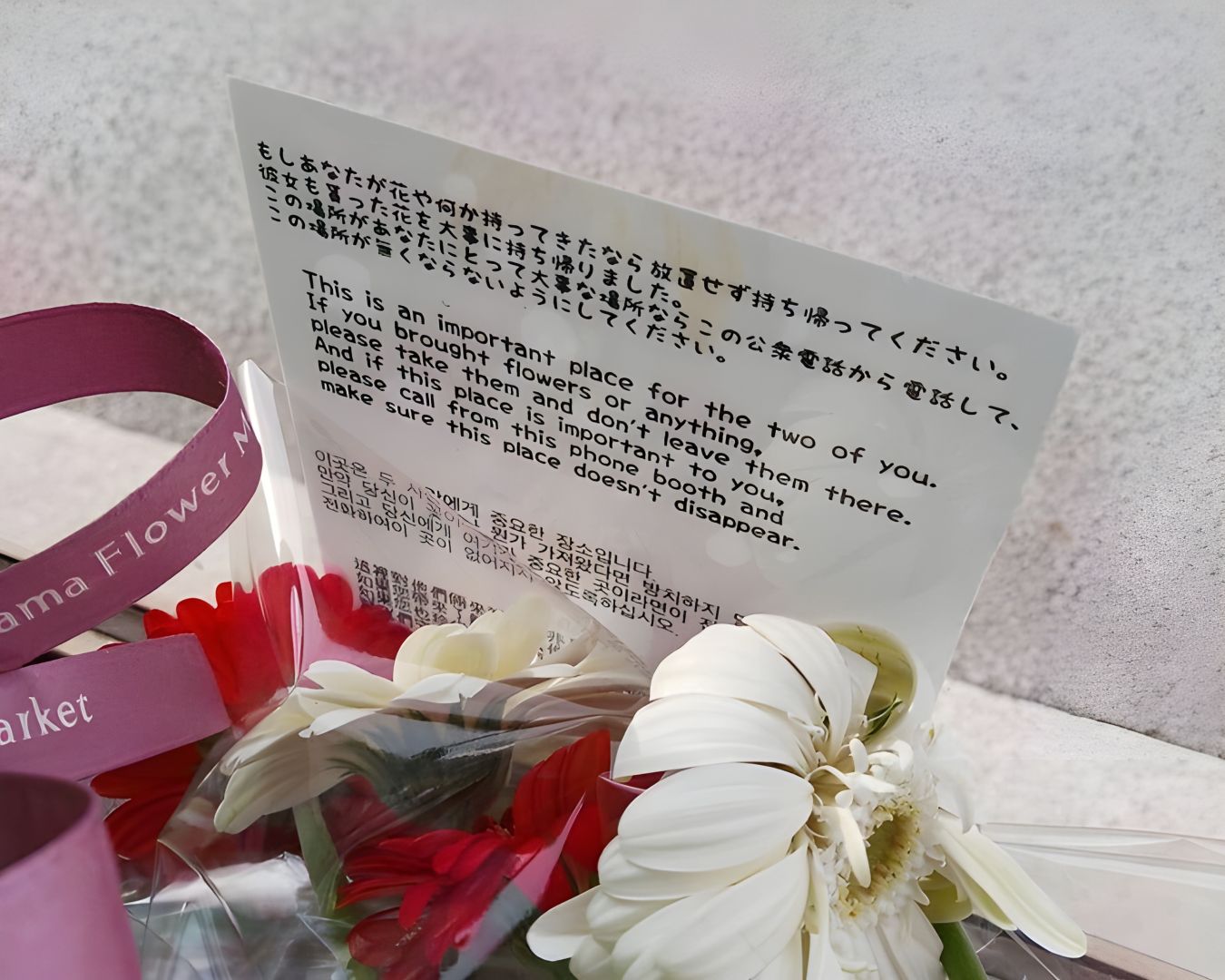 Bốt điện thoại vô danh bỗng thành thánh địa tại Nhật, nhà mạng xin fan Chainsaw Man ngừng... tặng hoa- Ảnh 5.