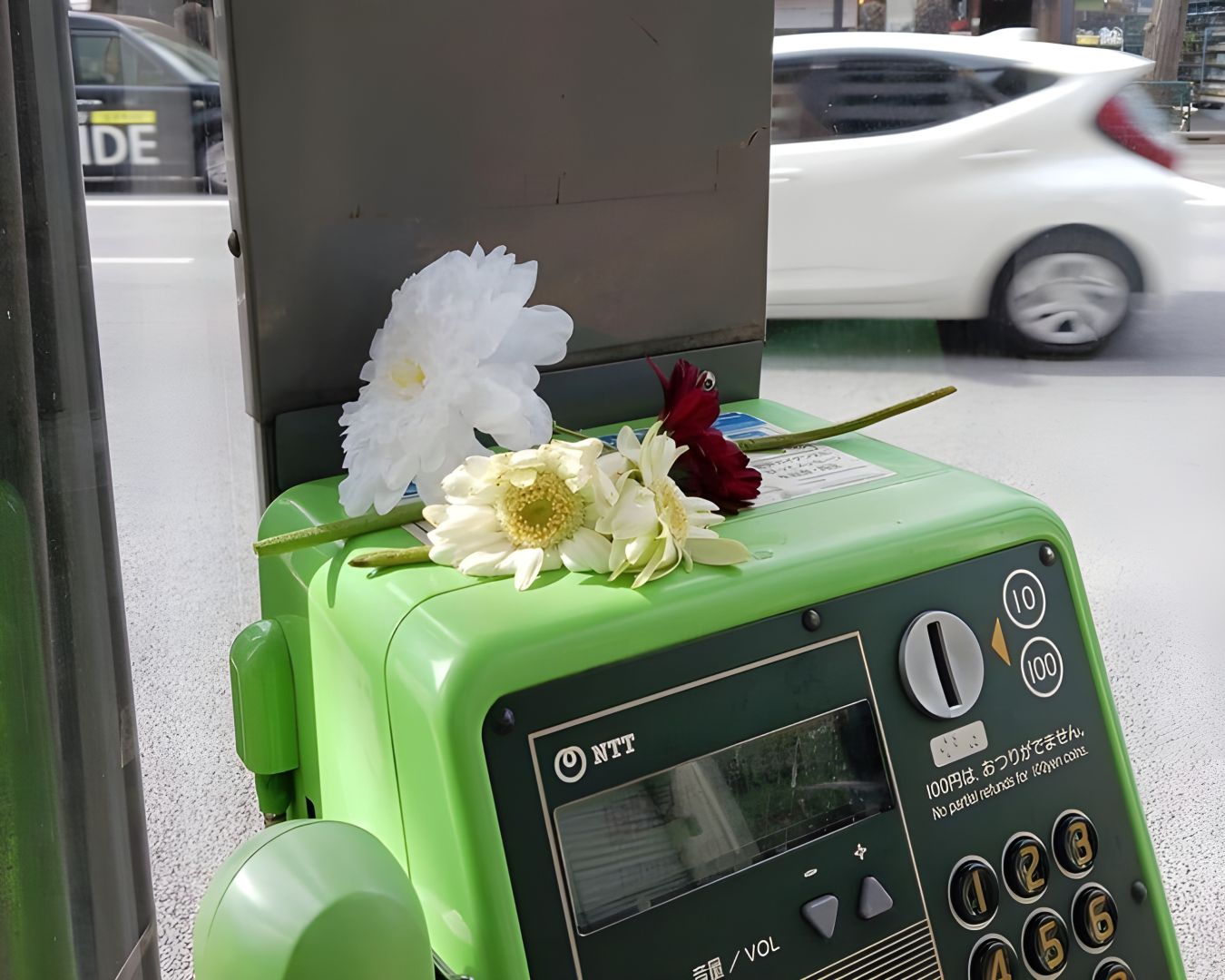 Bốt điện thoại vô danh bỗng thành thánh địa tại Nhật, nhà mạng xin fan Chainsaw Man ngừng... tặng hoa- Ảnh 1.