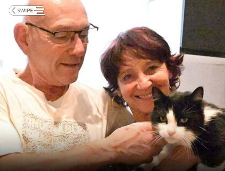 Kỳ tích chú mèo vượt 250km từ Tây Ban Nha tìm đường về Pháp sau 5 tháng mất tích- Ảnh 1.