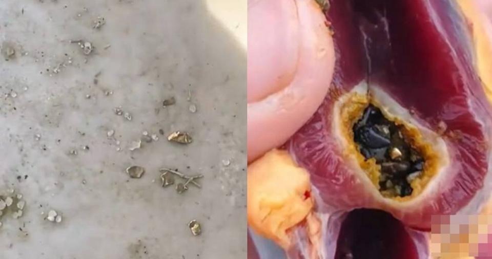 Mổ vịt ăn Tết, người đàn ông sốc nặng khi thấy vàng bên trong- Ảnh 1.