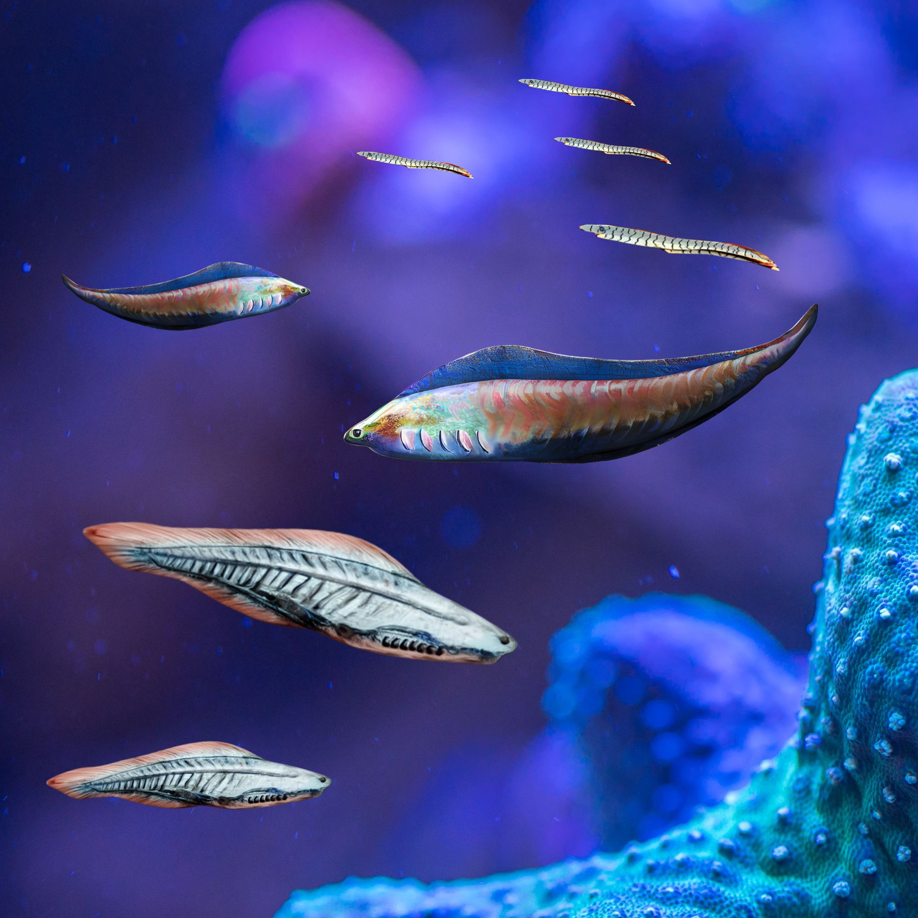 Phát hiện chấn động: Tổ tiên 500 triệu năm trước của loài người từng nhìn đời bằng bốn con mắt!- Ảnh 3.