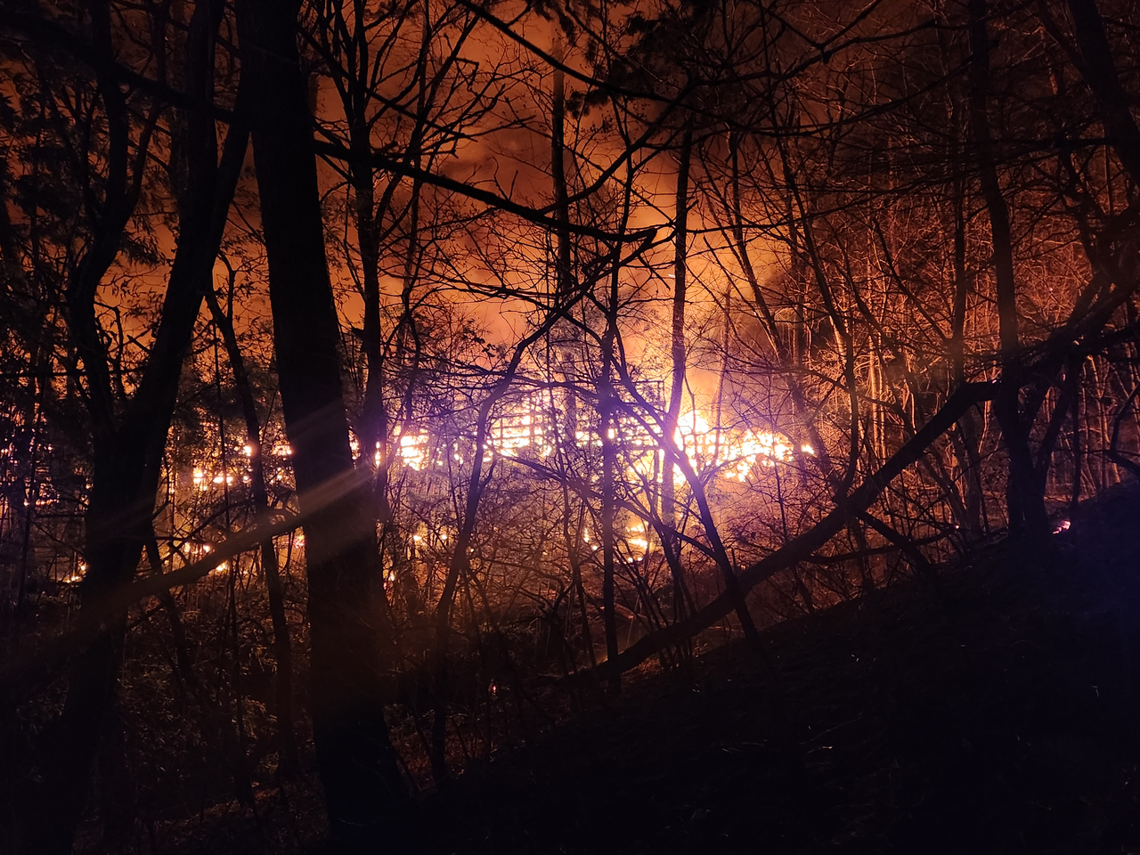 Cháy rừng nghiêm trọng ở Hàn Quốc- Ảnh 2.