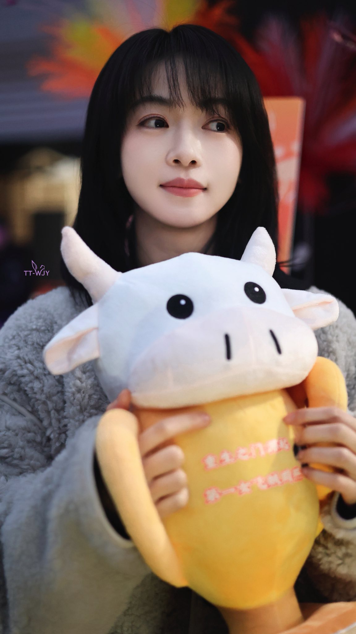 Đây không phải là Ngô Cẩn Ngôn, mà là