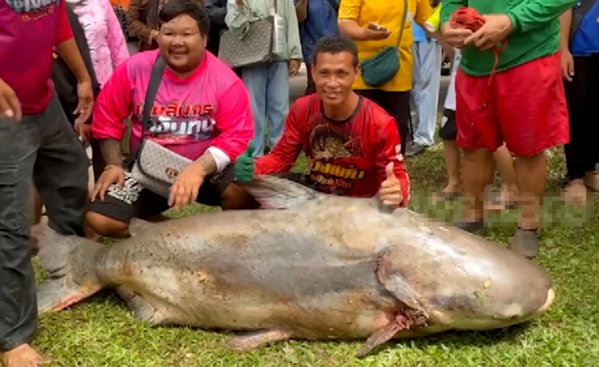 Người đàn ông bắt được “thủy quái” nặng 200kg trên sông- Ảnh 1.