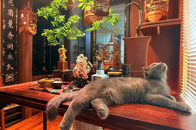 Nhan sắc vợ chân dài sinh 5 con cho nam nghệ sĩ đình đám sở hữu biệt phủ dát vàng ở Hà Nội- Ảnh 8.