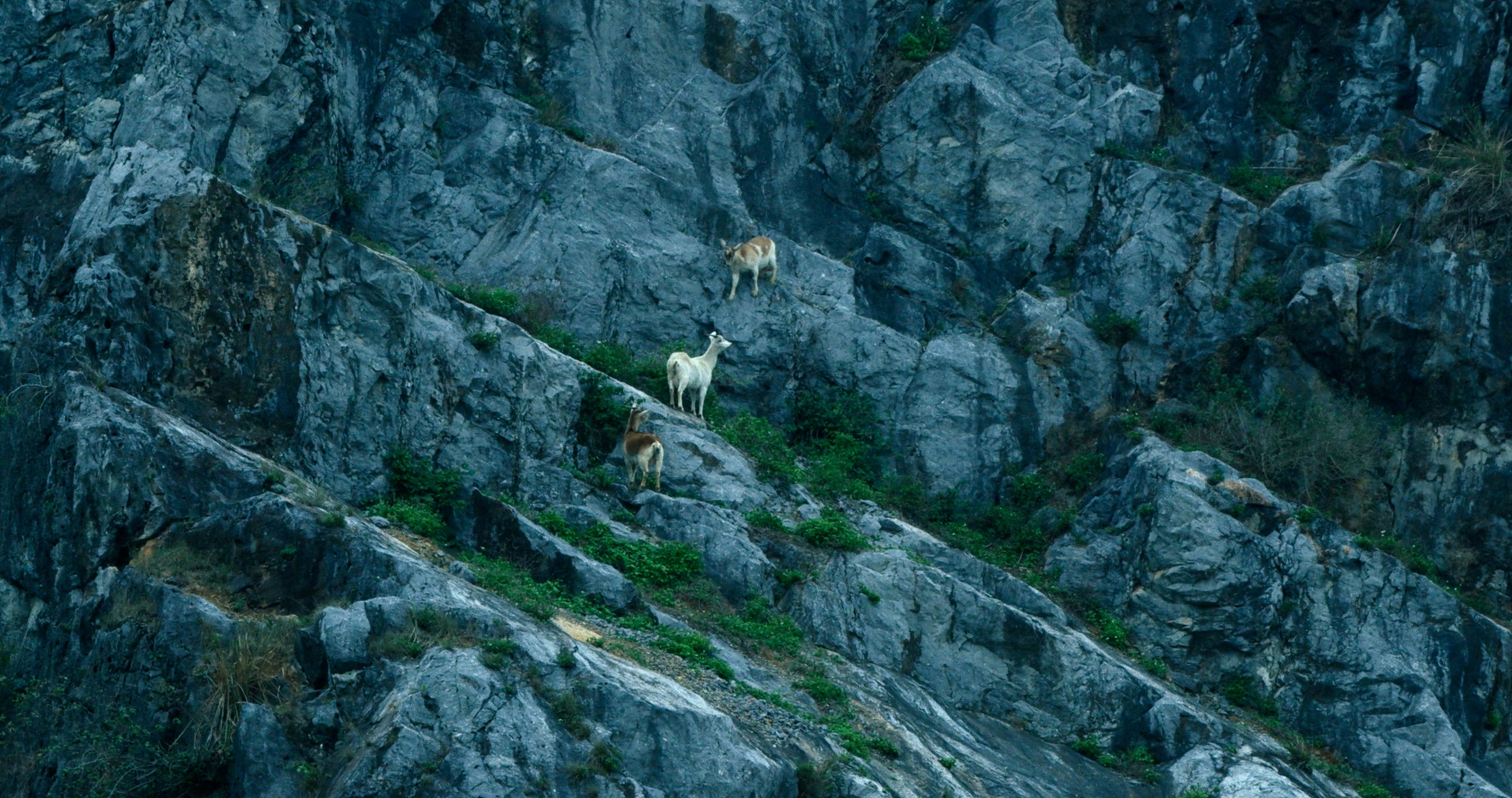 Chân Trời Rực Rỡ: Cách nhìn lại những đứt gãy của lịch sử và hỏi con người về niềm tin cuối cùng - mình thuộc về đâu?- Ảnh 6.