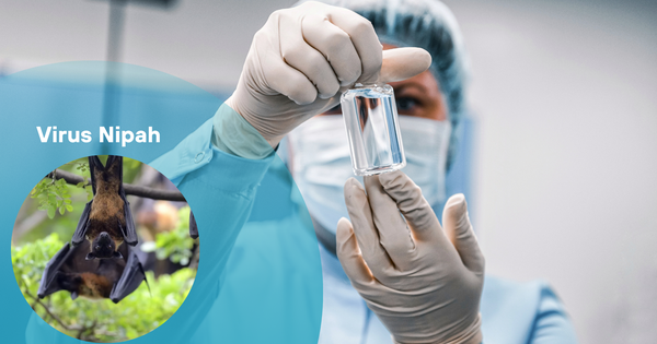 Trung Quốc phát hiện thuốc phòng chống virus Nipah hiệu quả- Ảnh 1. Trung Quốc phát hiện thuốc phòng chống virus Nipah hiệu quả- Ảnh 1.