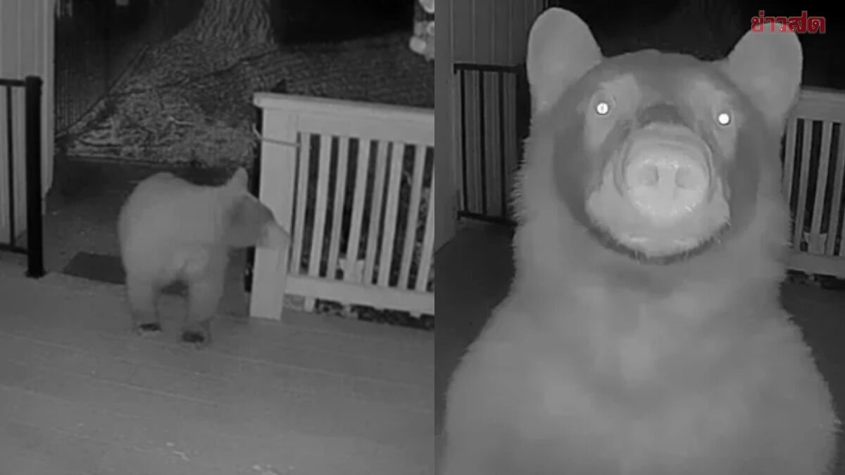 Nửa đêm thức giấc, người đàn ông bỗng phát hiện thứ