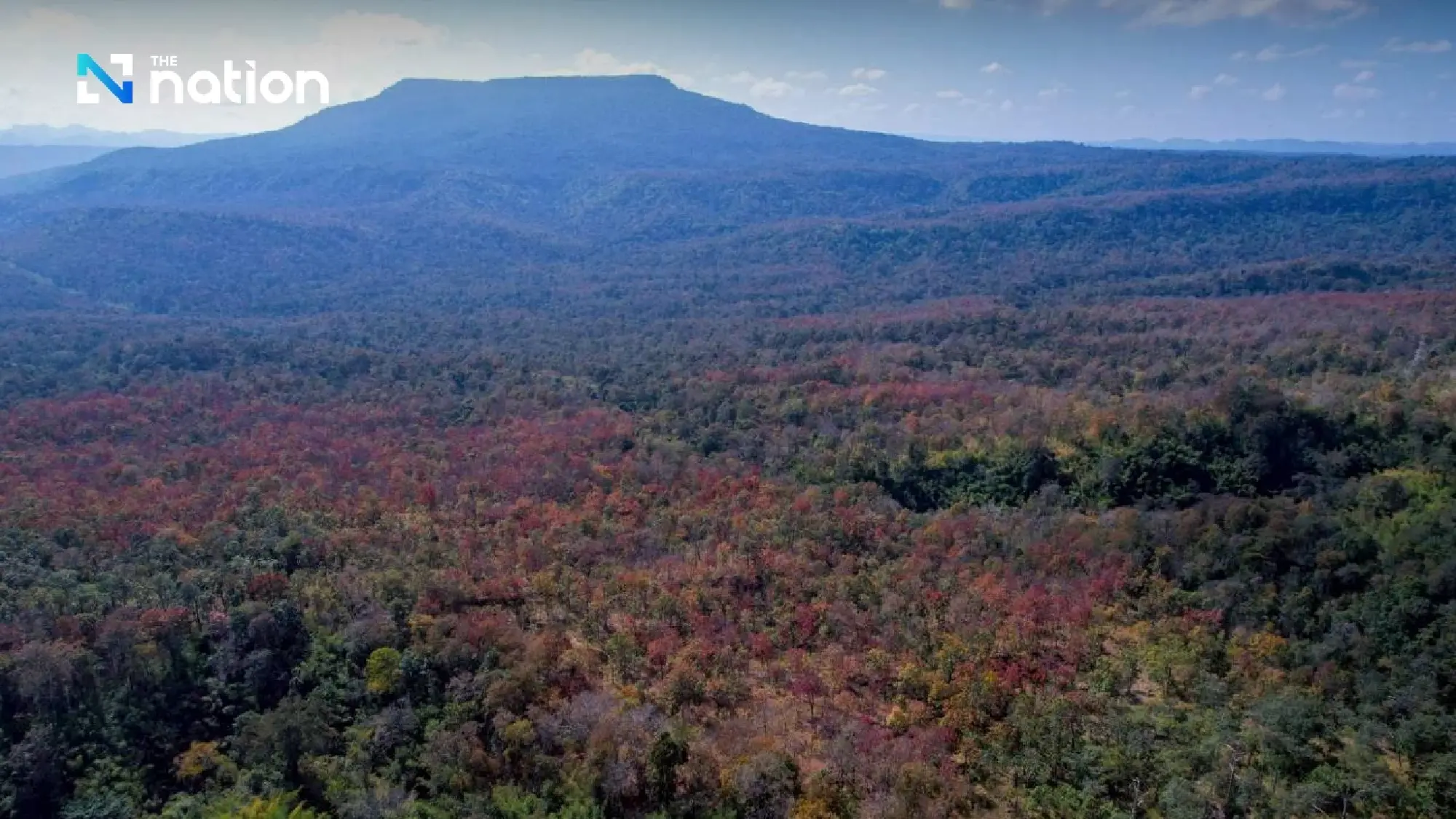Hiện tượng “rừng đổi màu” kỳ ảo tại Thái Lan- Ảnh 2. Hiện tượng “rừng đổi màu” kỳ ảo tại Thái Lan- Ảnh 2.