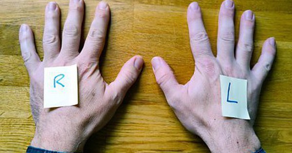 Tại sao nhiều người thông minh vẫn không phân biệt được trái phải? p0dvx23p 17726121507571637193295 0 23 270 455 crop 17726122304202043955263 1772637004352942342106 0 0 477 764 crop 1772637007770441030685jpg