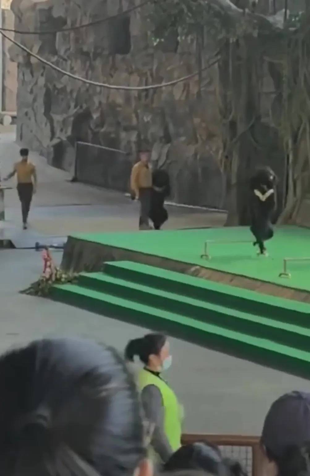 Kinh hoàng khoảnh khắc gấu đen tấn công huấn luyện viên trong sở thú- Ảnh 1.