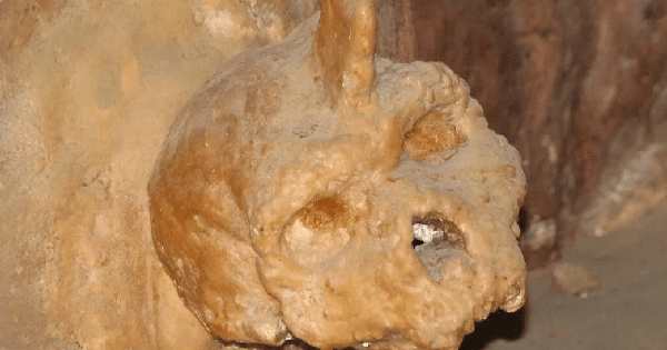 Lịch sử loài người có thể phải viết lại vì phát hiện của một người chăn cừu vào năm 1959 petralona l 1771127049571897116736 1771132328407 1771132328701914750404 0 0 652 1043 crop 17711323532161300252251png