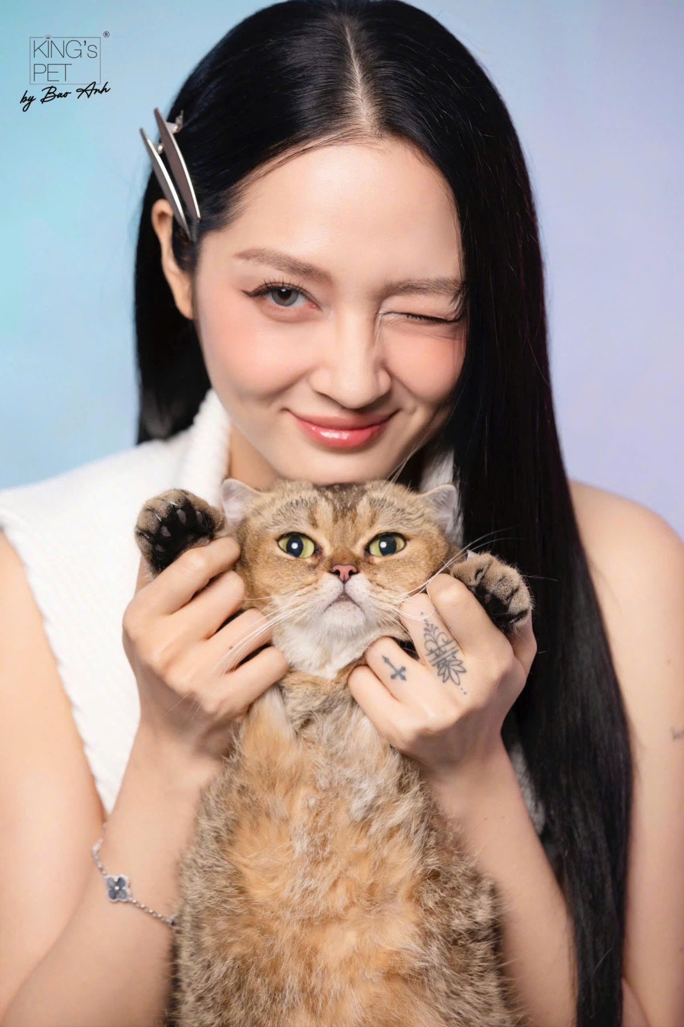 Bảo Anh giữ nhịp làm việc đều đặn với âm nhạc và kinh doanh sau khi tham gia chương trình truyền hình thực tế- Ảnh 1.