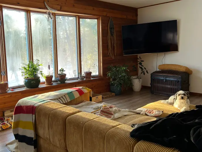 Đôi vợ chồng chi hơn 12 tỷ đồng mua mảnh đất 16.000m2 để nghỉ hưu sớm: “1 năm sau tôi phải quay lại thành phố, mọi thứ khác xa tưởng tượng”- Ảnh 5.