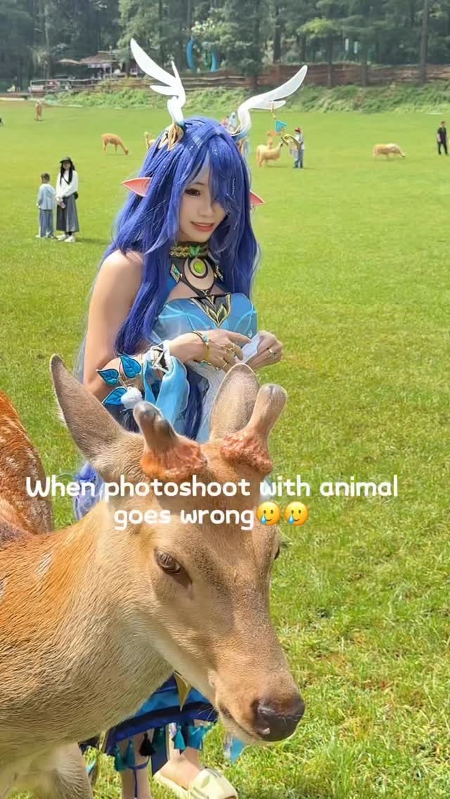 Cho thú hoang ăn, nữ coser gặp tai nạn bất ngờ, khiến CĐM được một phen Cho thú hoang ăn, nữ coser gặp tai nạn bất ngờ, khiến CĐM được một phen