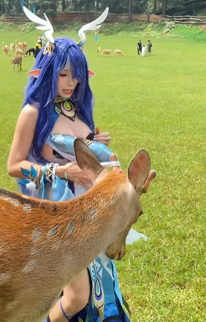 photo-1767409507881 photo-1767409507881