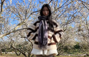 Quỳnh Bei đăng clip trở lại sau "drama để đời", CĐM "chia 5 xẻ 7" tranh cãi kịch liệt photo 1768877184394 1768877184704472175717 78 0 393 504 crop 1768884691883591357731png