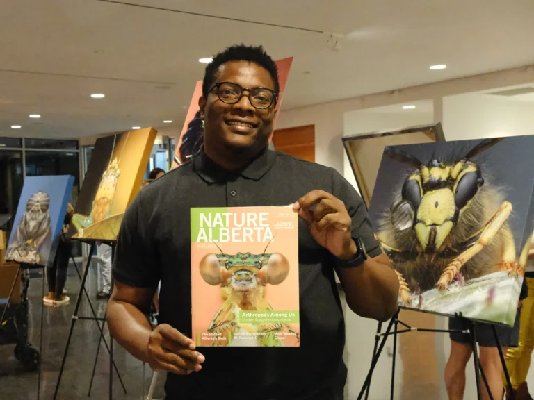 Cận cảnh côn trùng, mở ra một thế giới lạ lẫm mê ly- Ảnh 7.