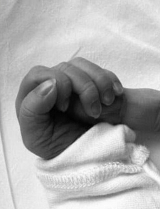 "Tóm dính" Song Joong Ki và vợ Tây hiếm hoi lộ diện, nhan sắc cam thường hút hơn 40 triệu lượt xem photo 2 1716002126913721285347 1 17700192027311387709385 1770023502514 17700235027291134874261