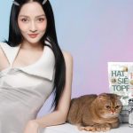 Bảo Anh giữ nhịp làm việc đều đặn với âm nhạc và kinh doanh sau khi tham gia chương trình truyền hình thực tế photo1767151059433 17671510605411764439149 17672537631301152656056jpg