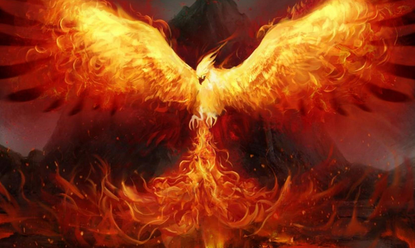 Xôn xao đoạn video phượng hoàng lửa đột ngột xuất hiện trong đêm tối, mạng xã hội chia rẽ thành 2 phe- Ảnh 1.