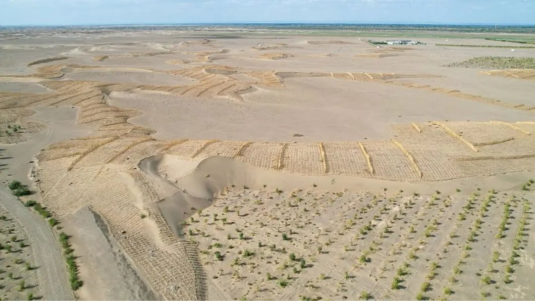 Phát minh chưa từng có trên thế giới của Trung Quốc: Không cần trồng cây vẫn phục hồi hàng nghìn hecta sa mạc, hiệu quả cao nhưng chi phí thấp- Ảnh 1.